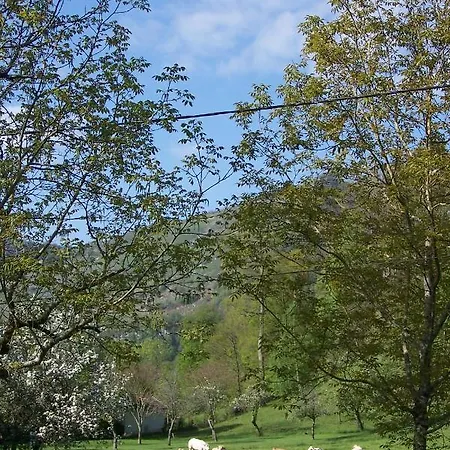 Holiday home Du Lourdes